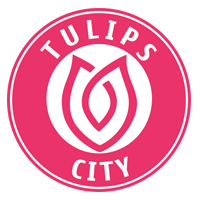 Tulips City